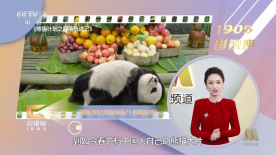 亚洲视频中文字幕在线观看